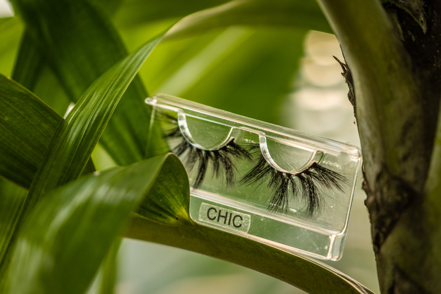 Strip Lashes