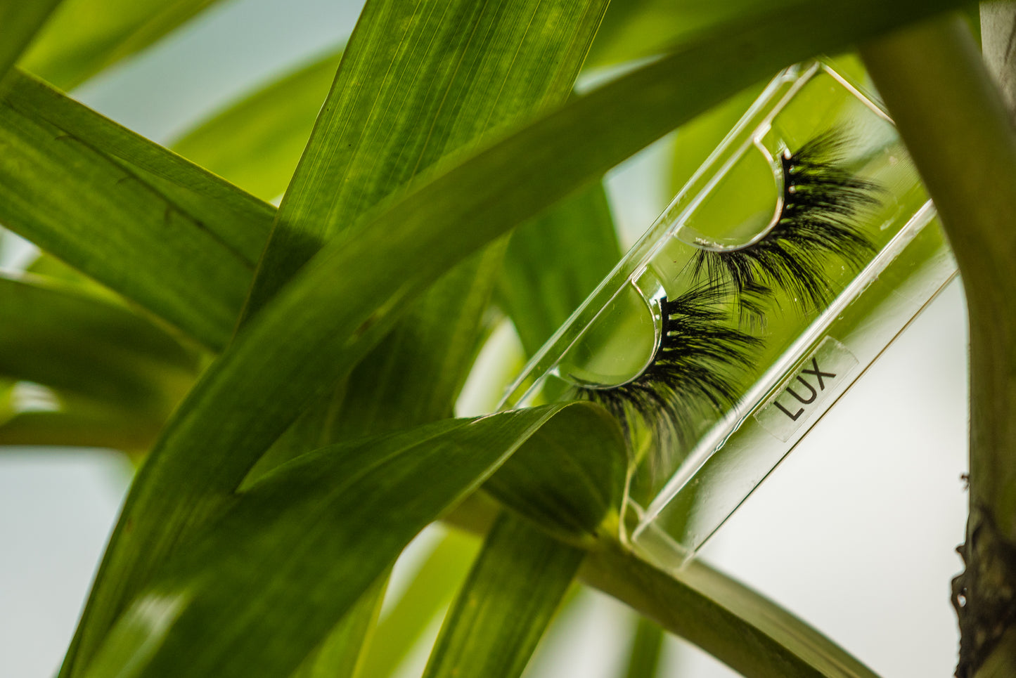 Strip Lashes