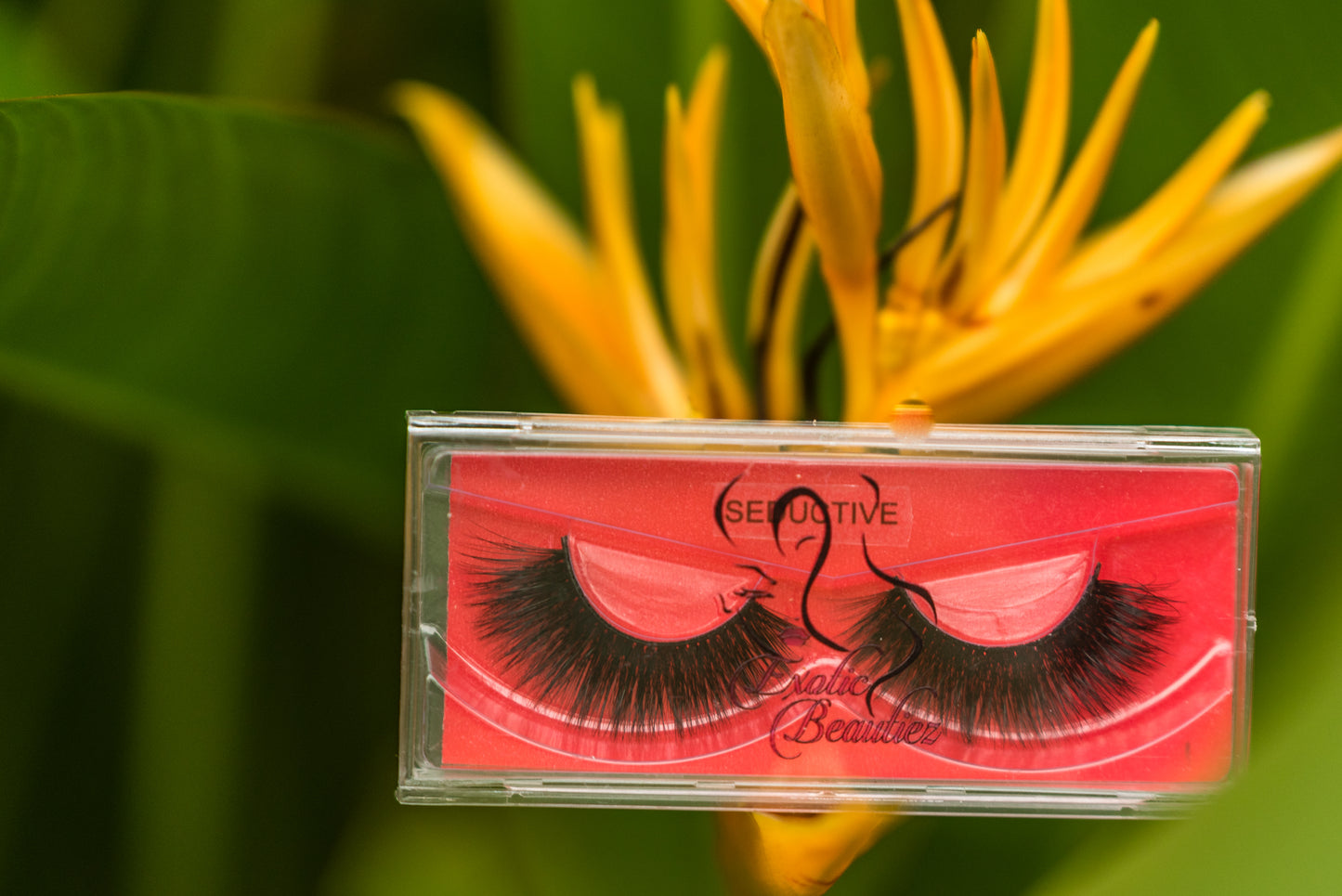 Strip Lashes